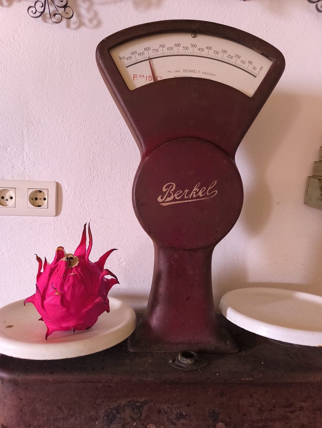 Pitaya de calibre excepcional sobre una balanza